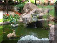One of the fish ponds on the premises